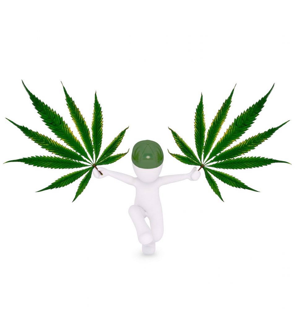 Ganja Hemp Mari Marijuana - Peggy_Marco / Pixabay