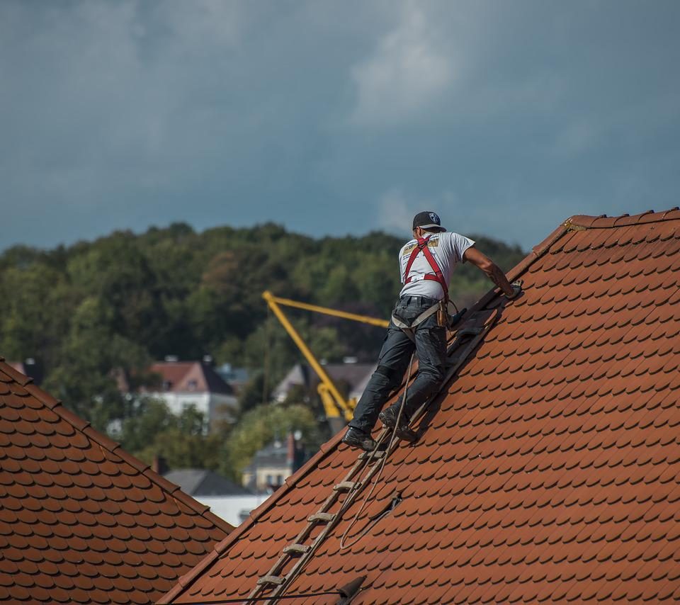 Roofers Roof Roofing Craft - bluelightpictures / Pixabay