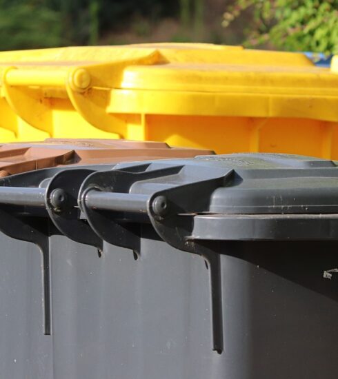 garbage cans, waste disposal, yellow bin, brown barrel, gray bin, garbage, household waste, disposal, environmental protection, responsibility, waste separation, separate, waste disposal, waste disposal, waste disposal, waste disposal, waste disposal, yellow bin, yellow bin, garbage, household waste